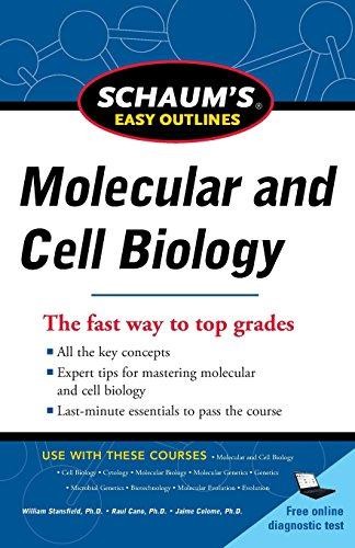 Schaum easy outline - easy,